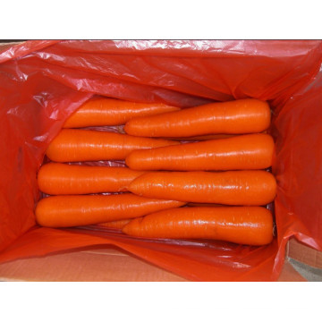 Alta qualidade da cenoura de colheita nova (80-150g)